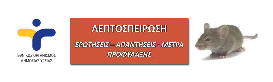 2025-11-04_leptospirosis